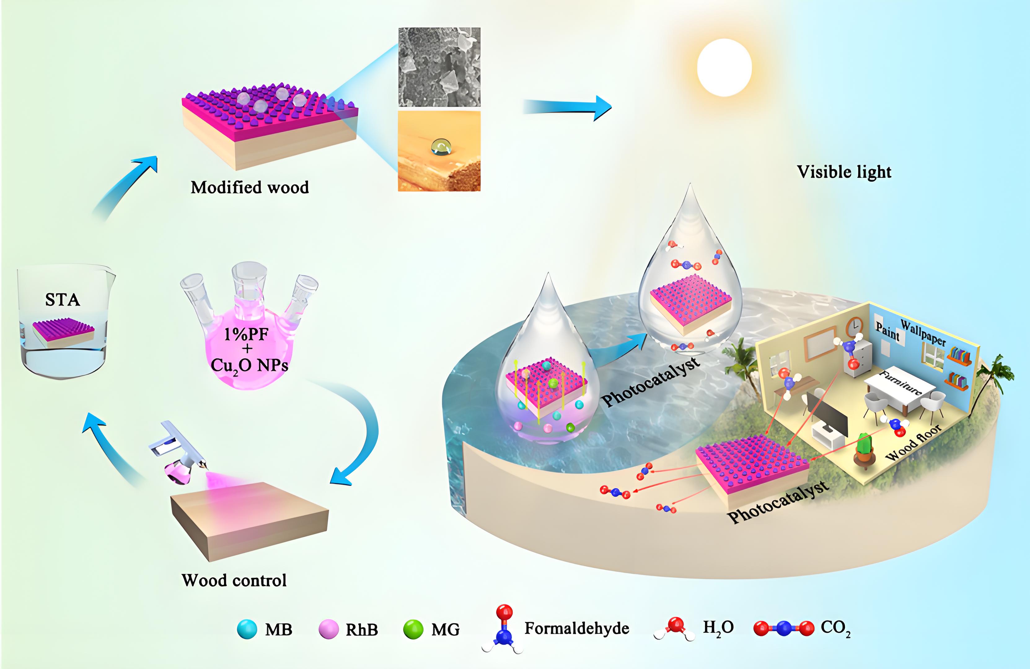 光降解和生物降解塑料袋區(qū)別？(圖1)