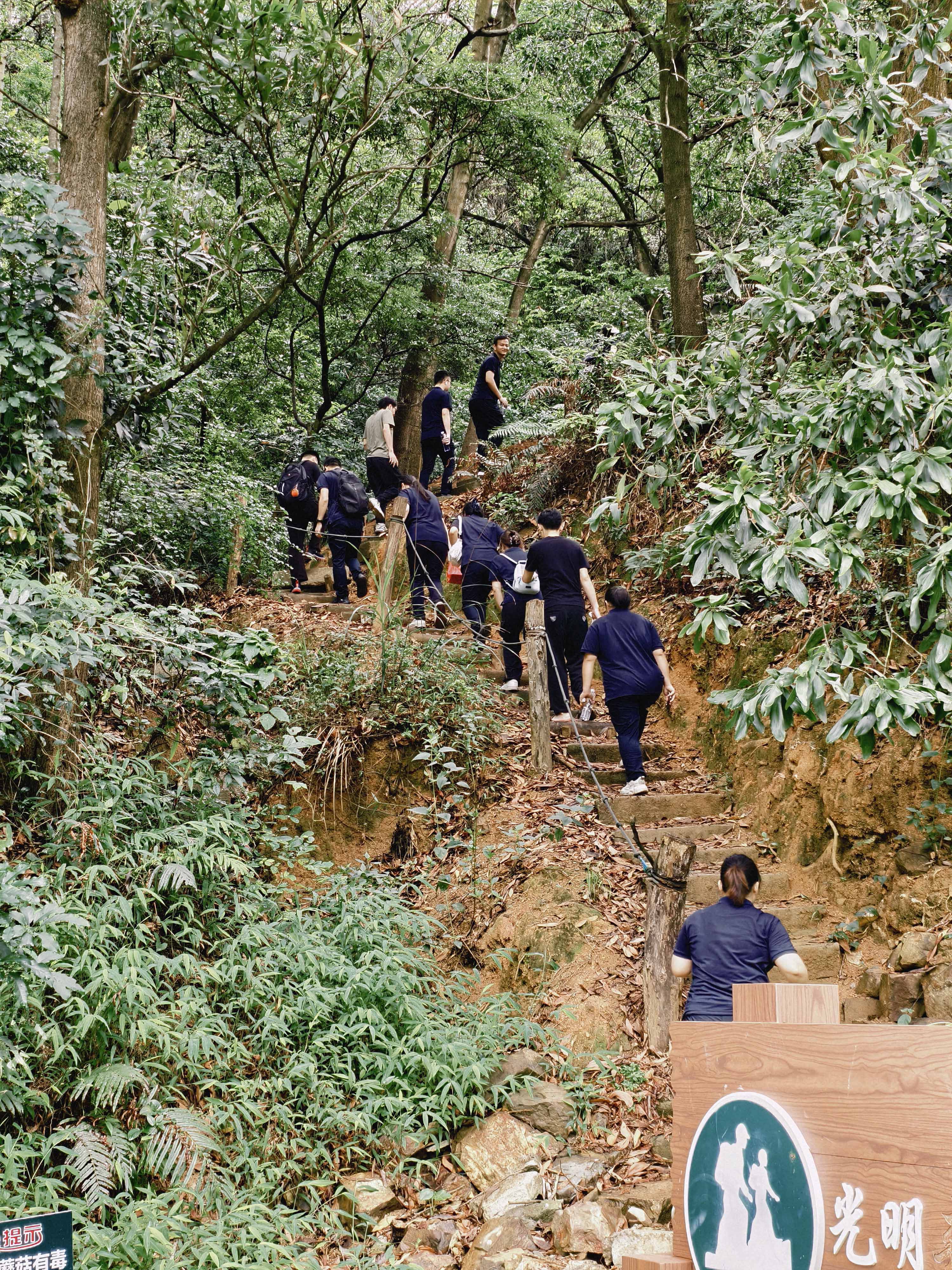 久信達(dá)科技公司員工齊聚光明區(qū)蠄蜍石，開啟活力爬山之旅暨團(tuán)建活動(dòng)(圖2)