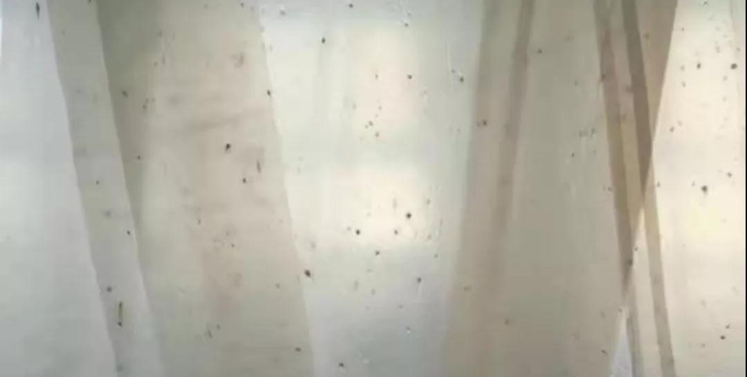 PBAT膜袋有黑點(diǎn)是什么原因？(圖1)